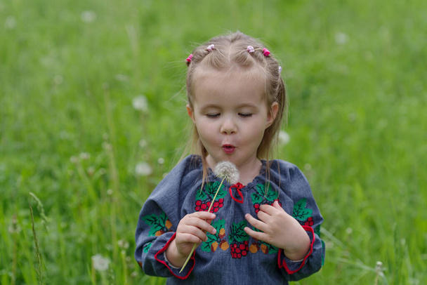 2 years old Caucasian girl picking a dandelion - Photo, Image