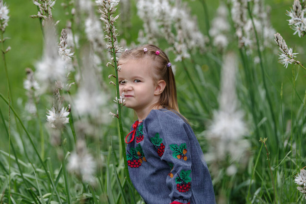 Bambina nel prato fiori selvatici in fiore nelle Alpi Liguri, Italia - Foto, immagini