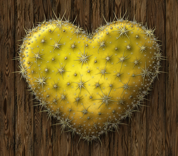 corazón de cactus
 - Foto, Imagen