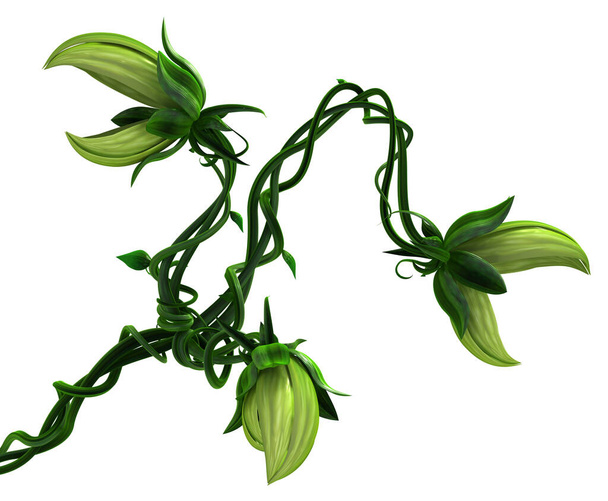 Plant growing green biting vine several heads, 3d illustration, horizontal, isolated, over white - Valokuva, kuva