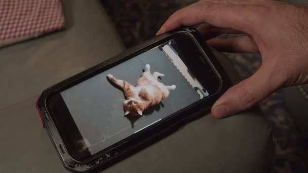 Sledování kočičího videa v aplikaci telefonu - Záběry, video