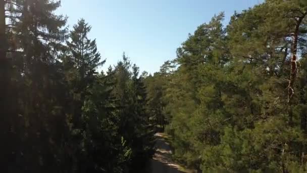 Letecký pohled na les v oblasti Curonian Spit - Záběry, video