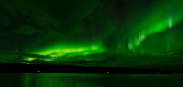 Βόρεια φώτα πάνω από την ήρεμη λίμνη με πράσινες αντανακλάσεις και φωτισμένο φυτό - Φωτογραφία, εικόνα