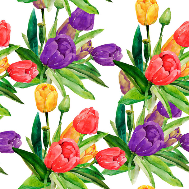 Red tulips seamless pattern.Image on a white and colored background. - 写真・画像