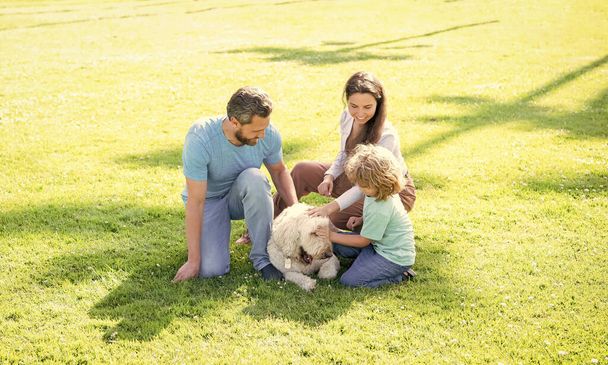 Baba ve çocuk yeşil parkın çimlerinde. Dost canlısı bir aile. Mutlu ebeveynler ve küçük çocuk köpekle oynuyorlar. Anne, baba ve oğul birlikte rahatlayın. Evlat edinme ve sadaka. Aile günü. dostluk. - Fotoğraf, Görsel