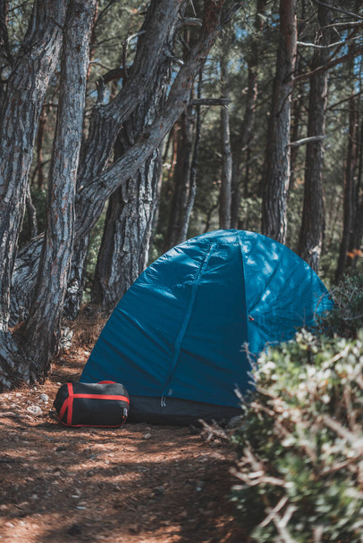 camper à l'extérieur dans les bois - Photo, image