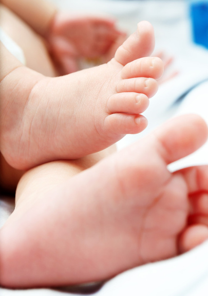 Closeup of a baby feet - 写真・画像