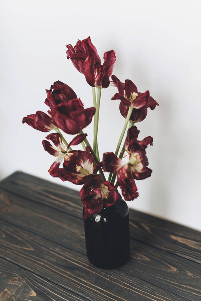 Wyblakłe tulipany. Withered czerwony bukiet kwiatów w szklanej butelce na białym tle. Kompozycja kwiatowa z suchymi usychającymi tulipanami. Życie i ból, miłość i żal - Zdjęcie, obraz