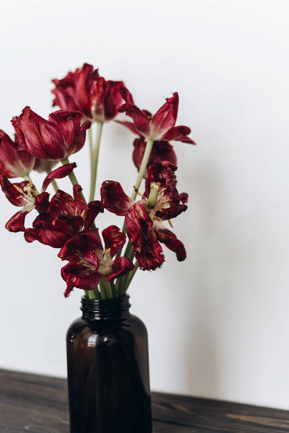 Tulipanes descoloridos. Ramillete de flores rojas marchitas en botella de vidrio sobre fondo blanco. Composición floral con tulipanes secos marchitos. Vida y dolor, amor y concepto de dolor - Foto, imagen
