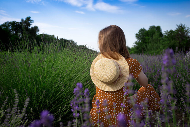 Provence - girl with hat at the lavender fiel - Foto, afbeelding