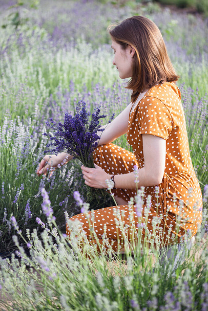 Provence - a girl in a lavender field collects a bouquet of lavende - Foto, Bild
