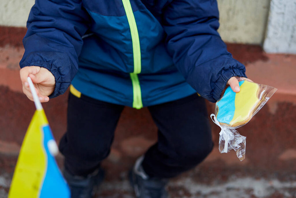 Vatansever küçük çocuğun elinde Ukrayna bayrağı ve sembolik kurabiyeler var. Ukrayna 'nın yanında dur. Ukrayna 'yı destekleyin. Rus saldırganlığı kavramını bırak. Ukrayna 'daki savaşı durdurun. Ukrayna için dua et. - Fotoğraf, Görsel