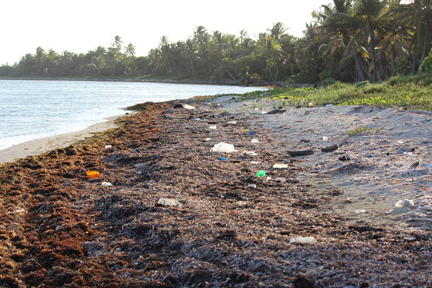 Wasserverschmutzung durch Kunststoffe und Abfälle, Umweltverschmutzung in der Natur - Foto, Bild