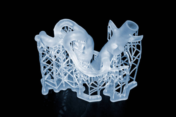 3D wydrukował prototyp ludzkiego serca z bliska. Fotopolimer obiektowy wydrukowany na stereolitografii drukarki 3D. Technologia fotopolimeryzacji cieczy w świetle UV. Nowa technologia drukowania 3D dla medycyny - Zdjęcie, obraz
