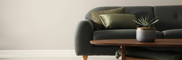 Stylish comfortable sofa in room, space for text. Banner design - Foto, afbeelding