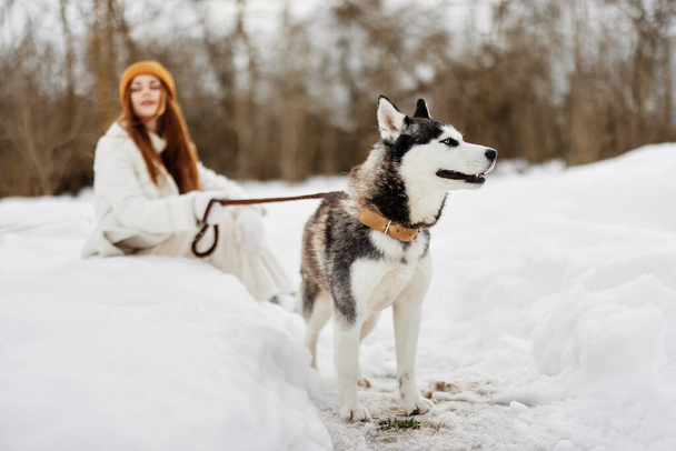 jonge vrouw winter kleding uitlaten met de hond in de sneeuw Lifestyle. Hoge kwaliteit foto - Foto, afbeelding