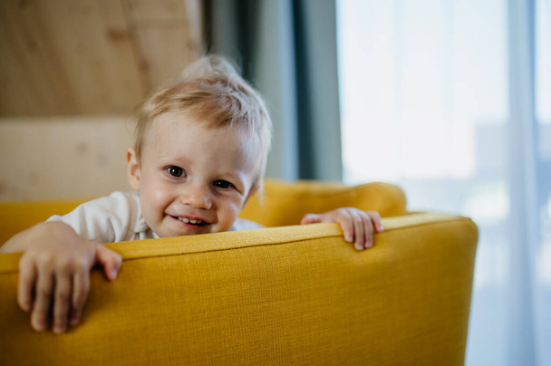 A little curious girl sitting on sofa and looking at camera. - Foto, Bild
