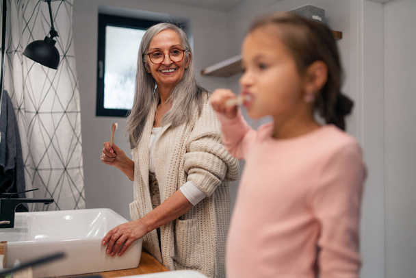 A senior grandmother making a ponytail to her granddaughter indoors in bathroom in the morning. - Foto, Bild