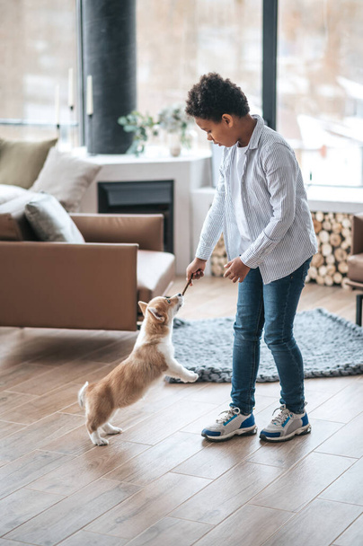 Playing with pet. A boy playing with a puppy and looking involved - 写真・画像