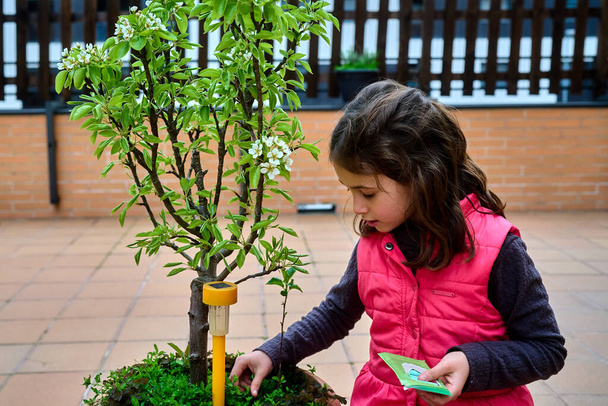 Девушка удобряет растения в горшках ранней весной. Высокое качество фото - Фото, изображение