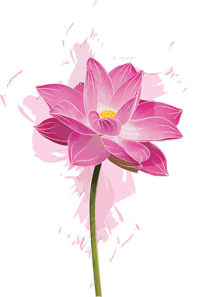 Abstrakt růžové lotosové květy s barevným rozšířením pozadí. - Fotografie, Obrázek