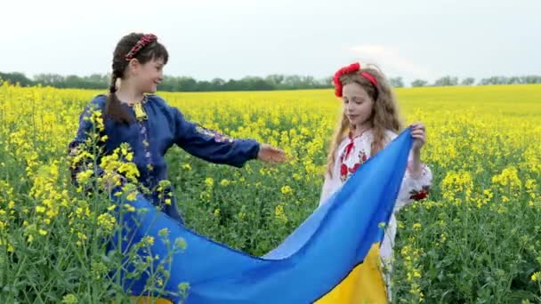 Bid voor Oekraïne. Twee schattige meisjes houden in handen een blauwe en gele Oekraïense nationale vlag in het midden van een koolzaad veld - Video