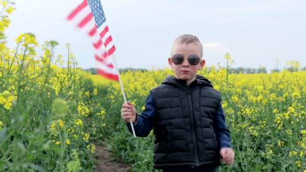 Closeup of a young patriotic boy stands among field. Boy standing with the american flag on the green and yellow field celebrating national independence day. 4th of July concept. - Séquence, vidéo