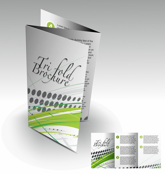Tri-fold brochure design - Vector, Image