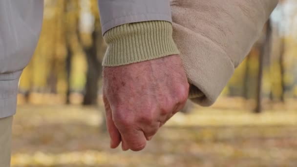 Közelkép két ráncos kéz idős pár tartja össze a karját romantikus gesztus öreg középkorú család nagyszülők érett partnerek támogatják a házasság kapcsolat ellátás szeretet egység őszi park szabadtéri - Felvétel, videó