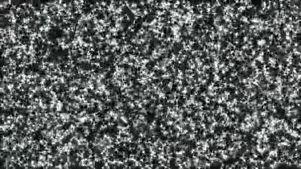 Graphisme de mouvement d'animation de particule d'étoile brillante de paillettes - Séquence, vidéo