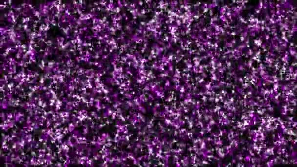 Glitter Shine Star Particle Animation Motion Graphics - Footage, Video