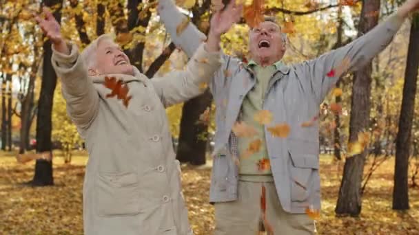 szczęśliwy żonaty stary kaukaski para partnerzy w cywilny park Dojrzałe kobieta senior mężczyzna rozrzucać liści zewnątrz rzucać się jesienią spadł liście piękny ludzie radować słoneczny dzień odpoczynek weekend przytulanie rodzina - Materiał filmowy, wideo