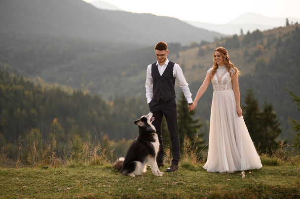весільна пара з собакою, що гуляє в горах на заході сонця. романтичний вечір у горах
. - Фото, зображення
