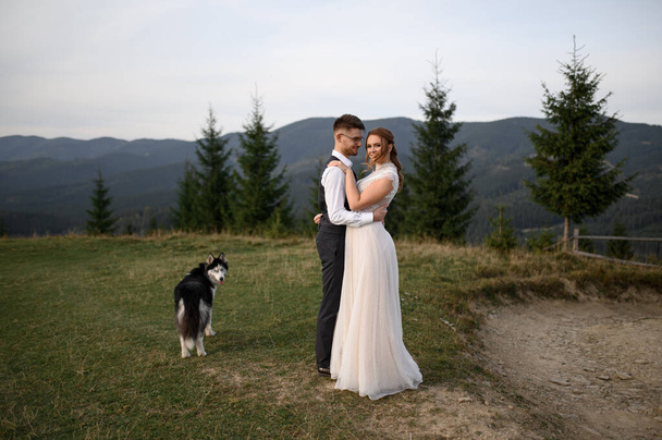 日没に犬と山を歩く結婚式のカップル。山の中でロマンチックな夜. - 写真・画像