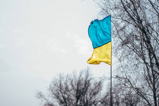 bandiera dell'Ucraina sullo sfondo del cielo grigio e rami d'albero asciutti. guerra tra Ucraina e Russia 24.02.202 - Foto, immagini