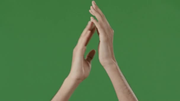 Männlich sorgfältige Hände Silhouette junger Mann Kerl klatscht auf grünem Studio applaudierenden Palmen Gruß gratulieren Award Sieg Gestik Körpersprache Hintergrund Chroma-Taste mit Kopiertext Raum - Filmmaterial, Video