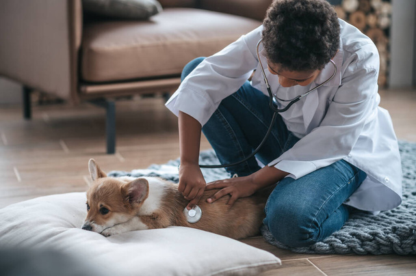 Ill pet. A boy in a white coat holding stethoscope and examining an ill dog - Photo, image