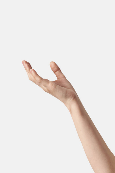 Woman hand with open palm reaching up gesturing holding something isolated on white background. - Valokuva, kuva