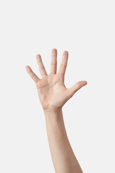 Inner palm count on fingers, male hand in vertical position with 5, five, fifth finger sticking out isolated on white background. Counting one to five fingers concept. - Foto, afbeelding