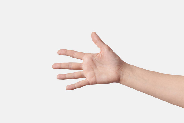 Numeric count on fingers, female hand with wrist in horizontal position with 5, five, firth isolated on white background. Counting on fingers set. - 写真・画像