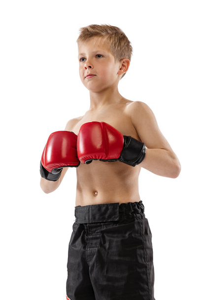 Closeup portrait of little boy, kid in sports shots and gloves posing on white studio background. Sport, education, action, motion concept. Copy space for ad - Foto, imagen