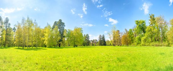 Panorama zielonego parku z zielonymi drzewami i zieloną trawą na zielonym polu - Zdjęcie, obraz