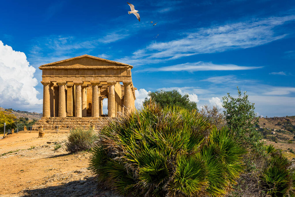 Dolina Świątyń (Valle dei Templi), Świątynia Konkordii, starożytna grecka świątynia zbudowana w V wieku p.n.e., Agrigento, Sycylia. Świątynia Konkordii, Agrigento, Sycylia, Włochy - Zdjęcie, obraz