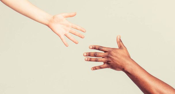 Woman and african woman hand. Helping hand, Rescue, multiathnic people. Helping hands, Rescue gesture. Black and white human hands. African and caucasian hands. - Foto, Imagem