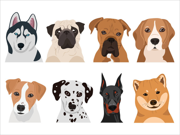 Набор собак в векторе (хаски, мопс, боксер, бигл, Джек Рассел, далматинец, доберман, хаски) - Вектор,изображение