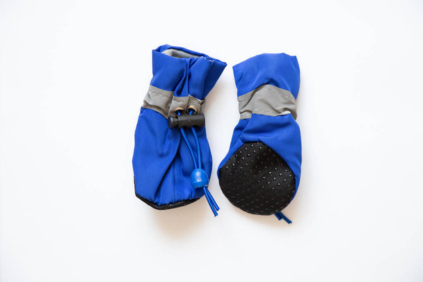 Chaussons bleus neufs pour chien sur fond isolé, chaussures pour chien, bouclier sur les pattes des chiens - Photo, image