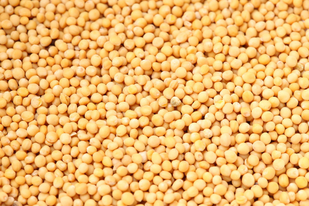 Mustard seeds - Фото, зображення