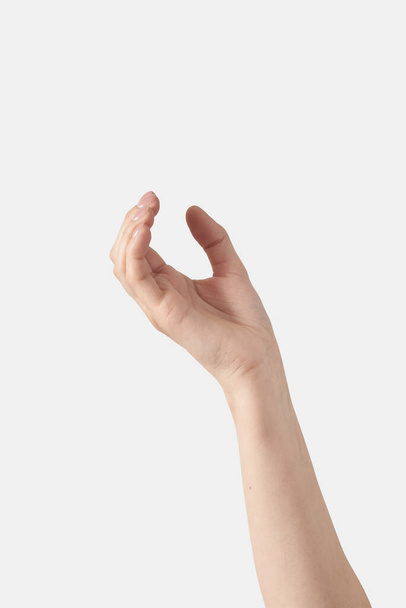 Female hand half wide open or close palm gesturing holding isolated on white background. - 写真・画像