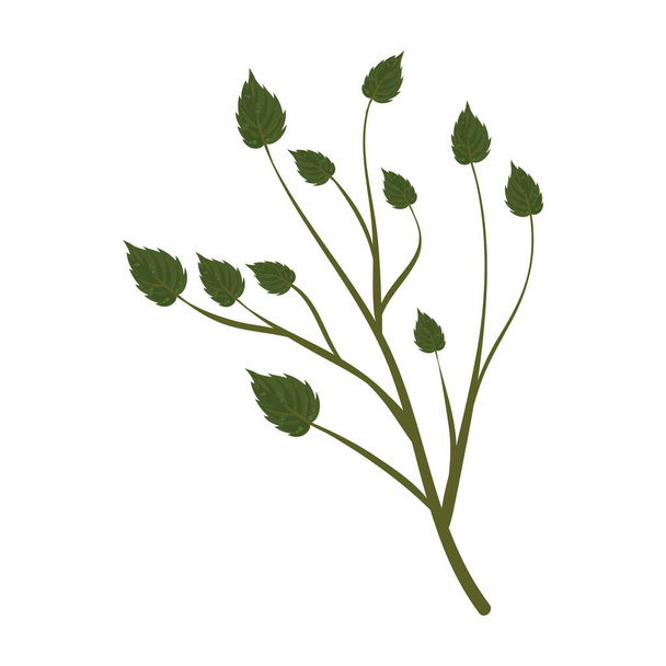 πράσινο σχεδιασμό φύλλα πάνω από το λευκό - Διάνυσμα, εικόνα