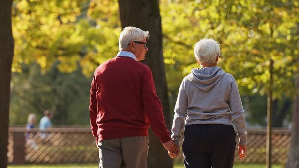  Vanhempi eurooppalainen aviopari kävelee puistossa, pitää kädestä, ammuttu selästä, keskikokoinen laukaus kopiotilaa. Laadukas kuva - Valokuva, kuva
